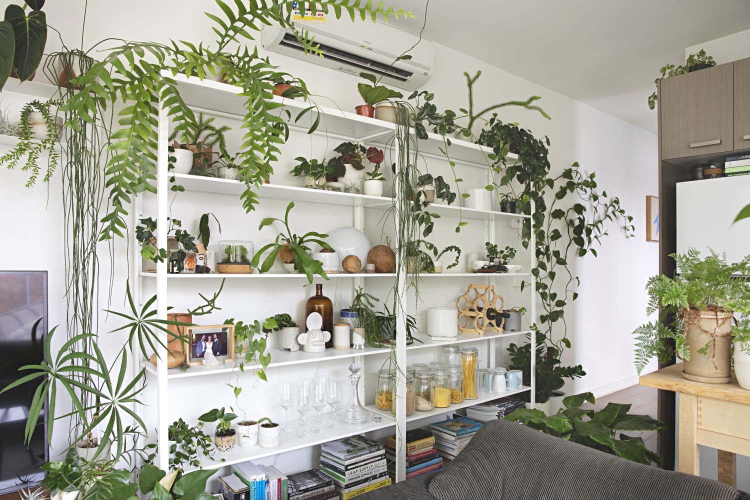 Decoración creativa con plantas de interior, desde el suelo hasta el techo