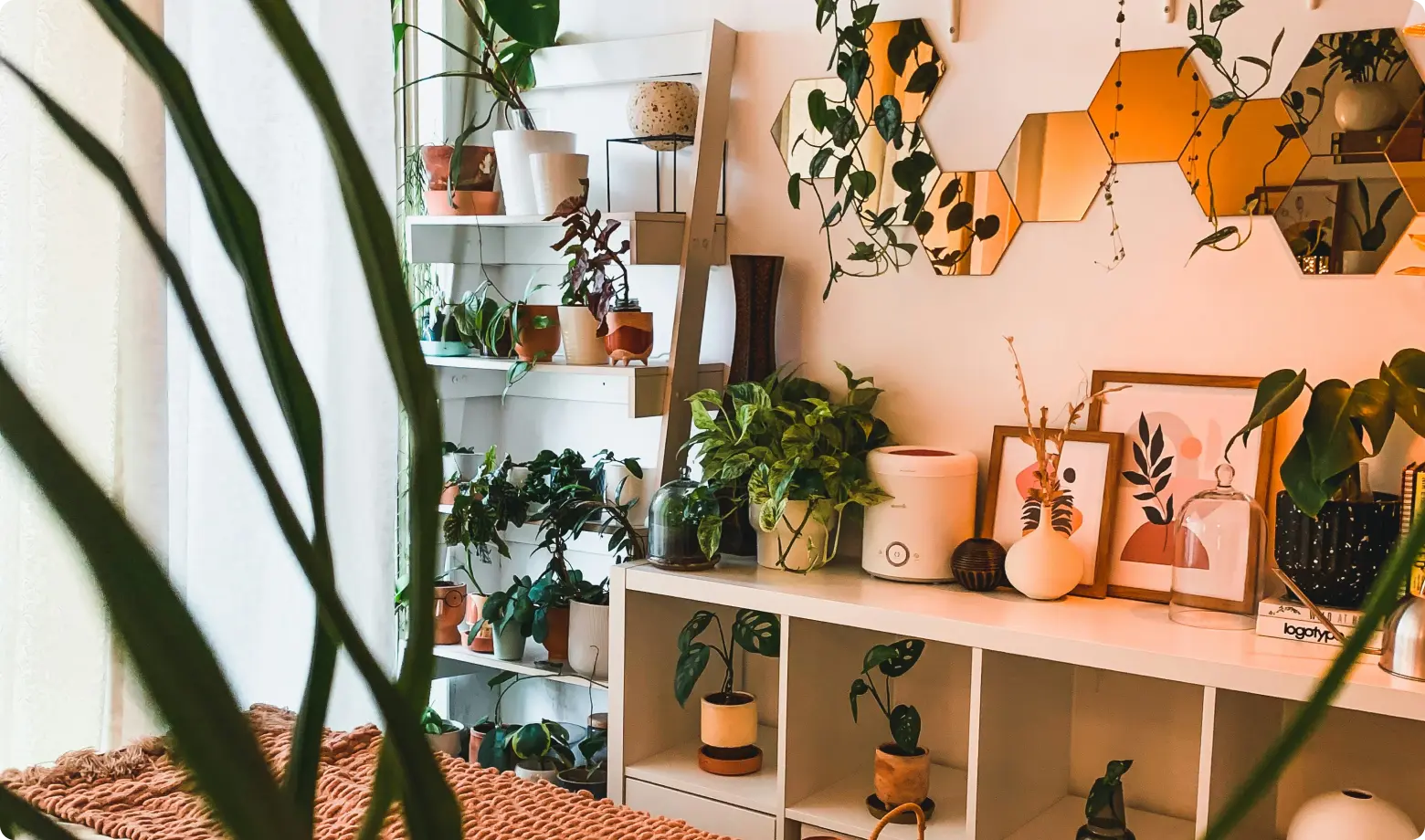 La gama de elementos esenciales de decoración para renovar el hogar
